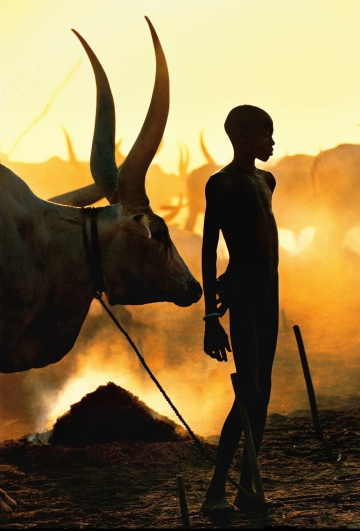 African oral poetry