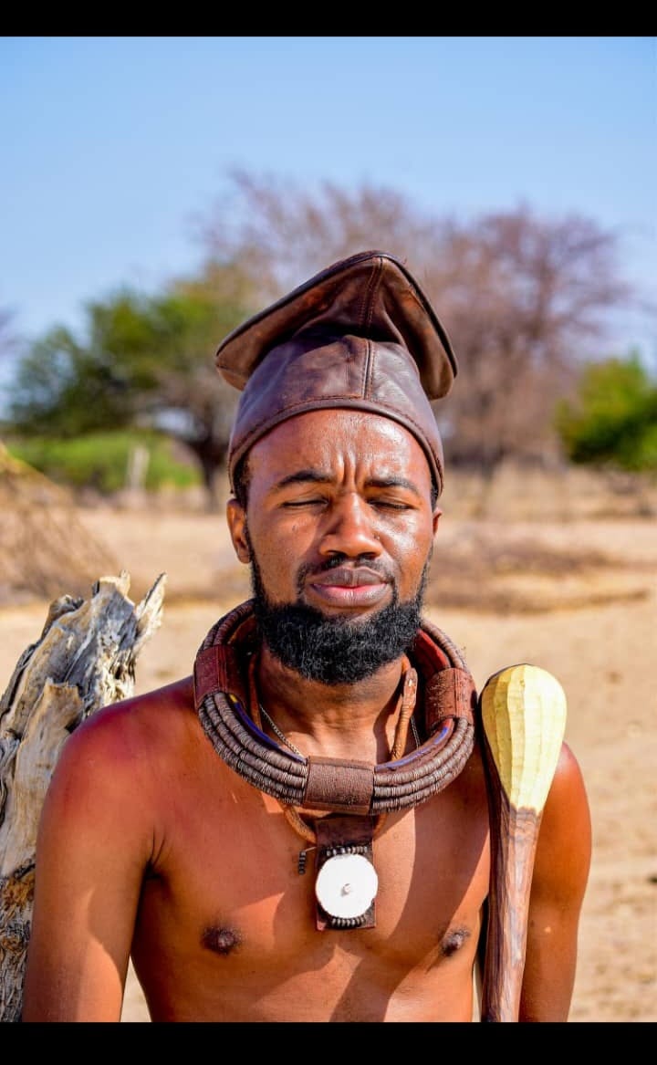 African drylands cattle