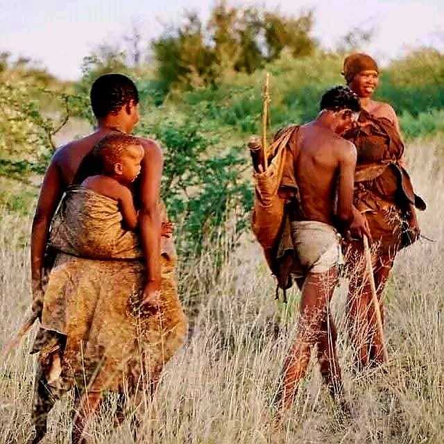 Kalahari landscape